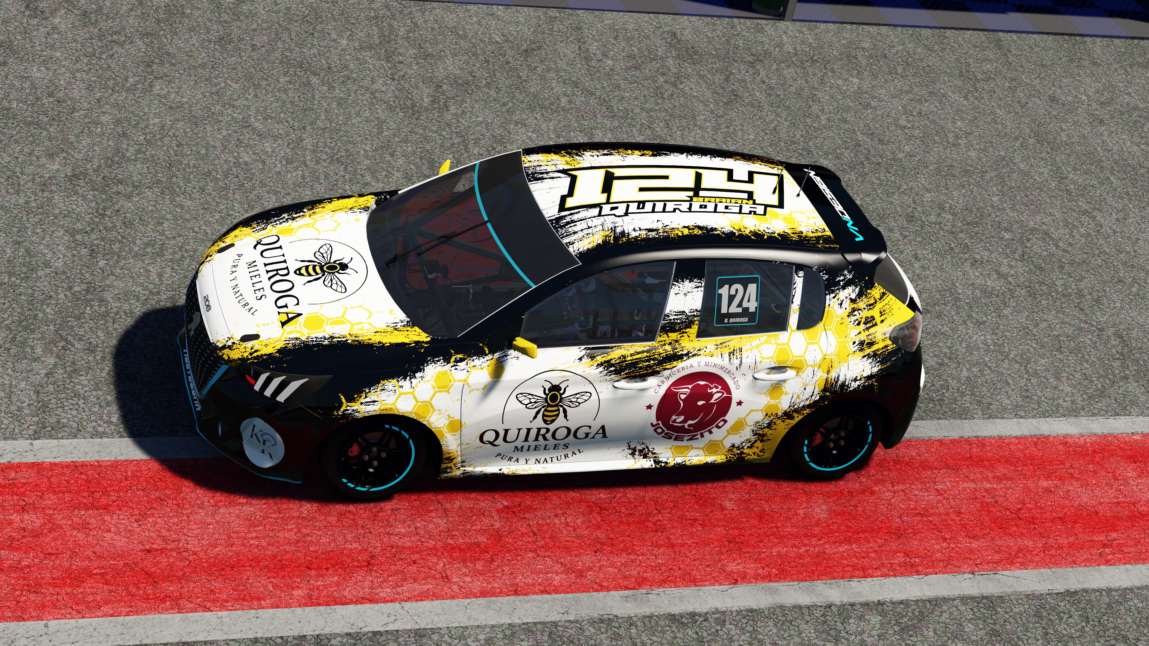 Car Skin