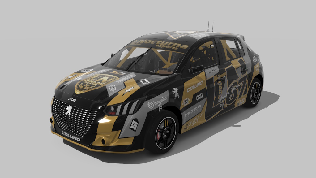 Car Skin