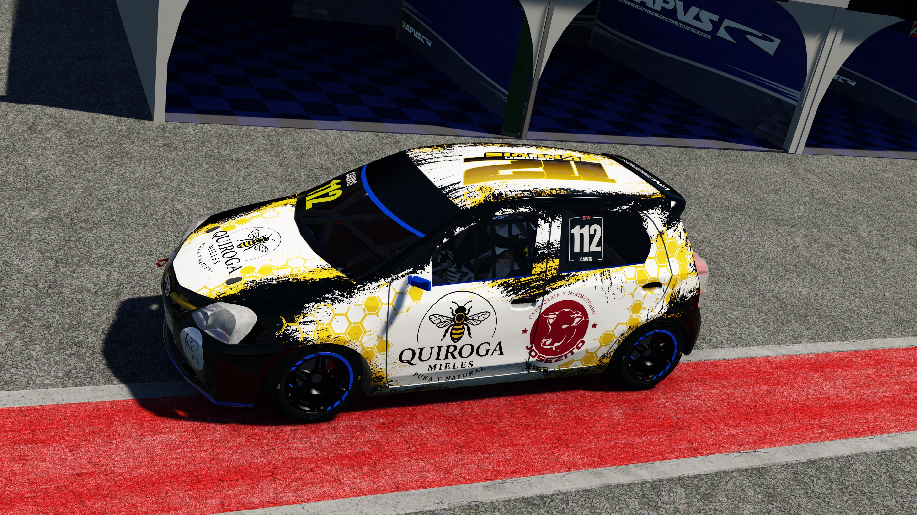 Car Skin