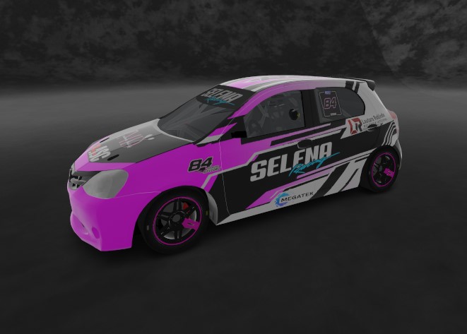 Car Skin
